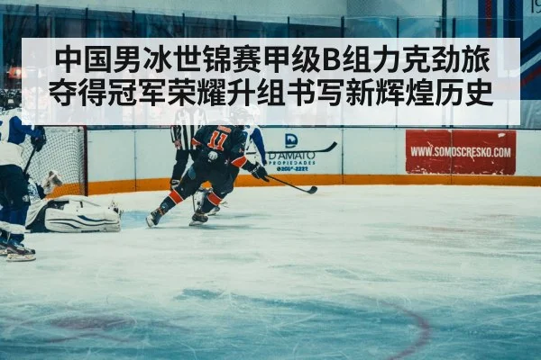 ice hockey match action